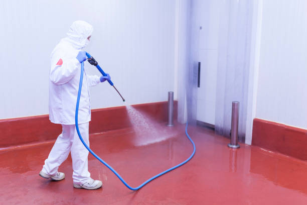 Best Boat and Dock Cleaning  in Lake Hiawatha, NJ